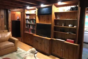 Wooden living room interior with bookcase, TV, and a dog resting on a rug. Cozy atmosphere with leather armchair.